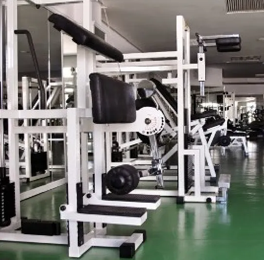 Commercial strength machines on a gym floor