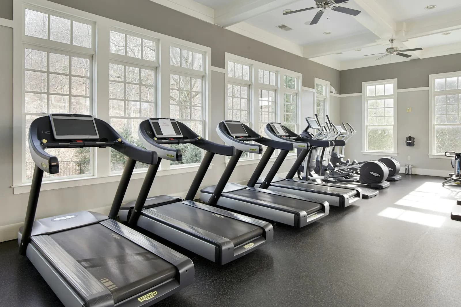 A row of commercial treadmills by tall windows