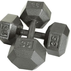 Troy Barbell Iron Hex Dumbbells