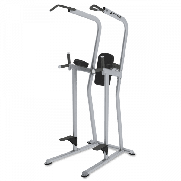 FS-23 KNEE RAISE/DIP/CHIN STATION